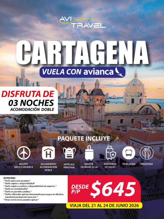 sitio web CARTA
