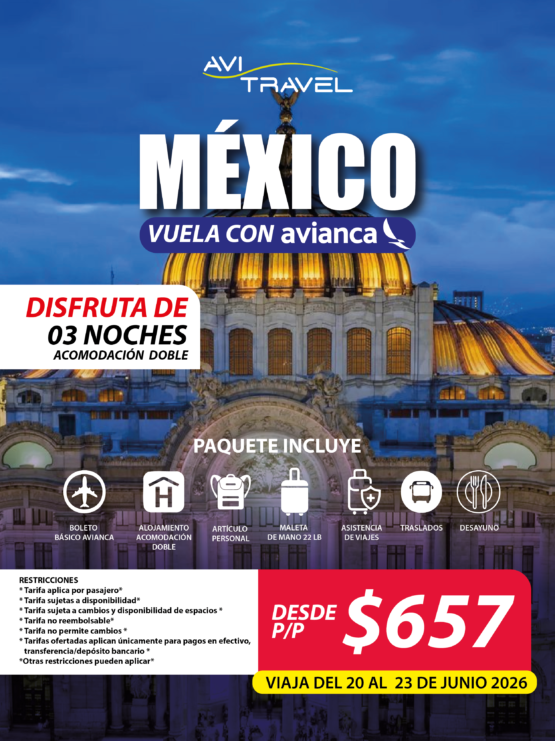 sitio web mex